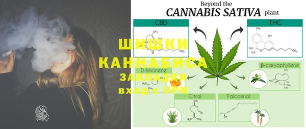 PSILOCYBIN Красавино