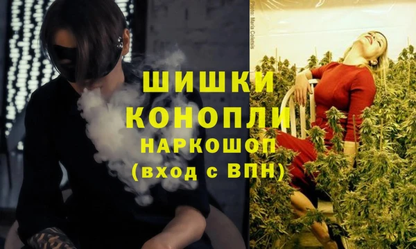PSILOCYBIN Красавино