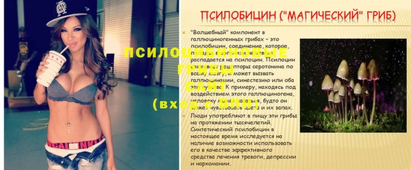прущая мука Кохма