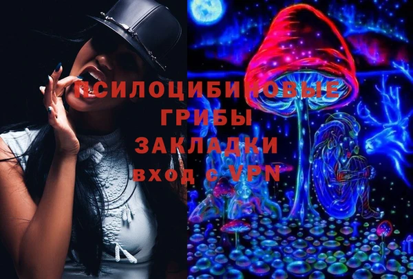 PSILOCYBIN Красавино