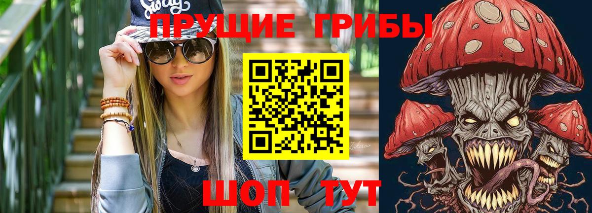 Псилоцибиновые грибы прущие грибы Кирово-Чепецк