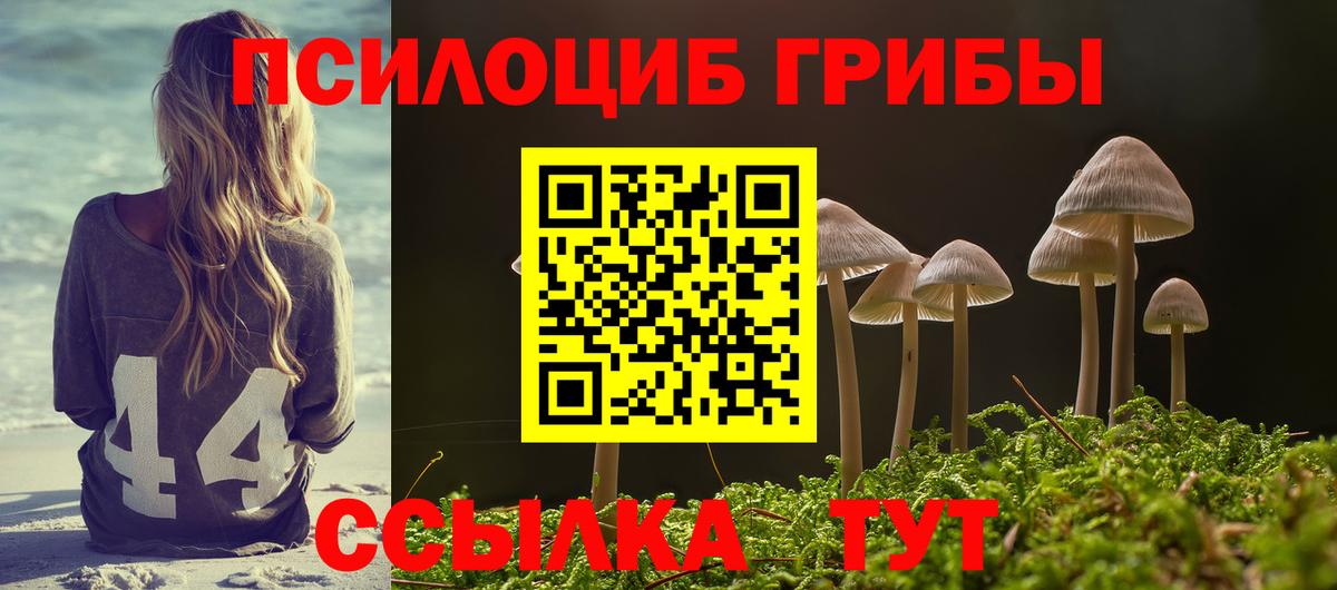 Кирово-Чепецк  Галлюциногенные грибы Cubensis  Псилоцибиновые грибы прущие грибы  Вход с VPN 